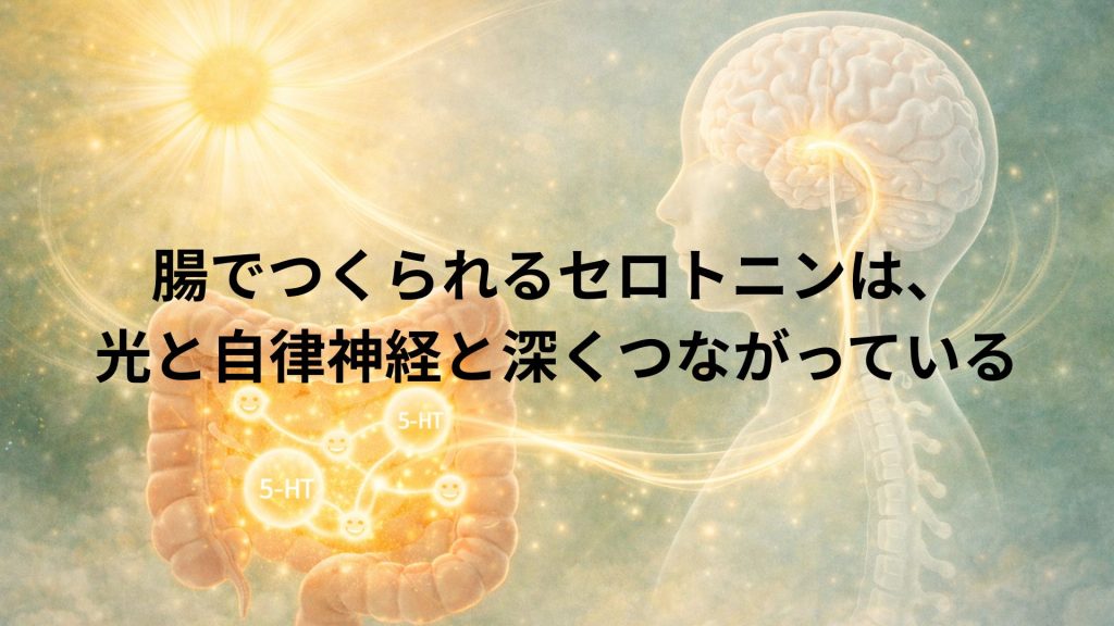 脳と腸がつながりセロトニンをイメージ画像