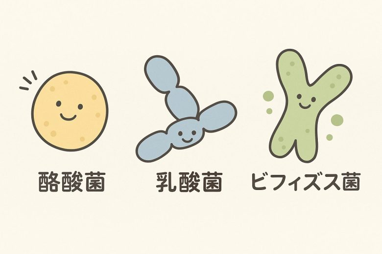善玉菌の代表３つの菌を表すイラスト