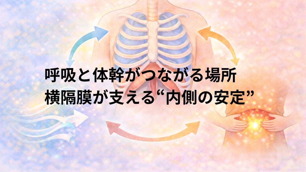 呼吸と体幹がつながるイメージ画像