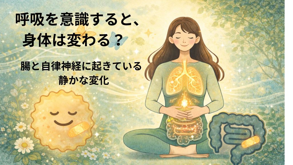 呼吸と腸、自律神経を表す画像