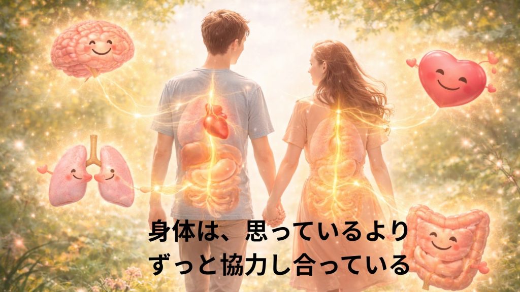 身体の協力をイメージした画像