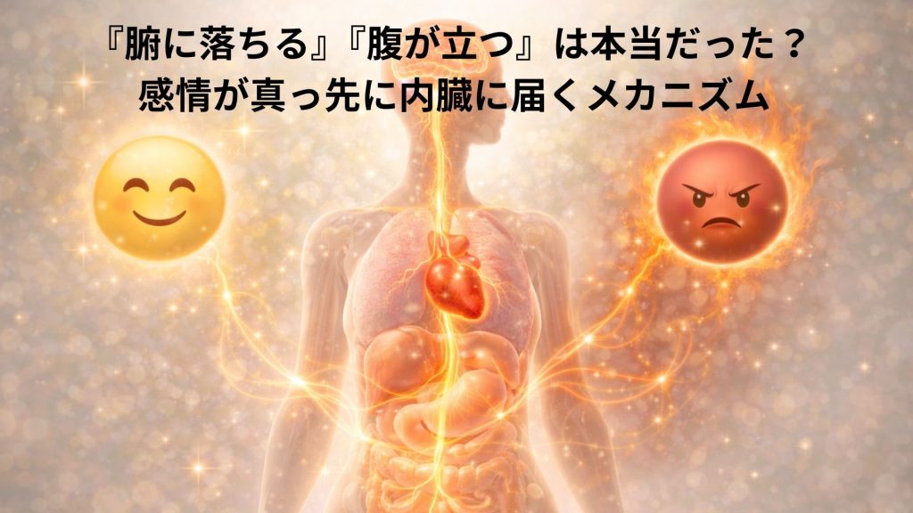 感情と内臓のネットワークを表す画像