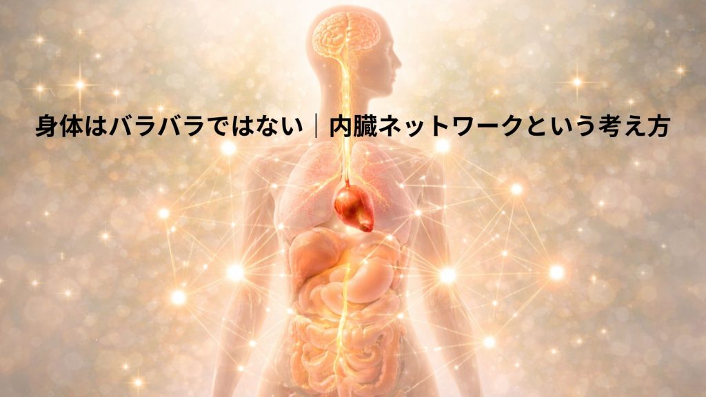 内臓のネットワークのイメージ画像