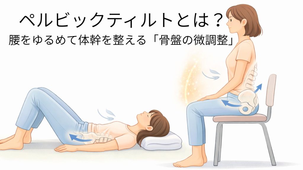 仰臥位と座位のペルビックティルト画像