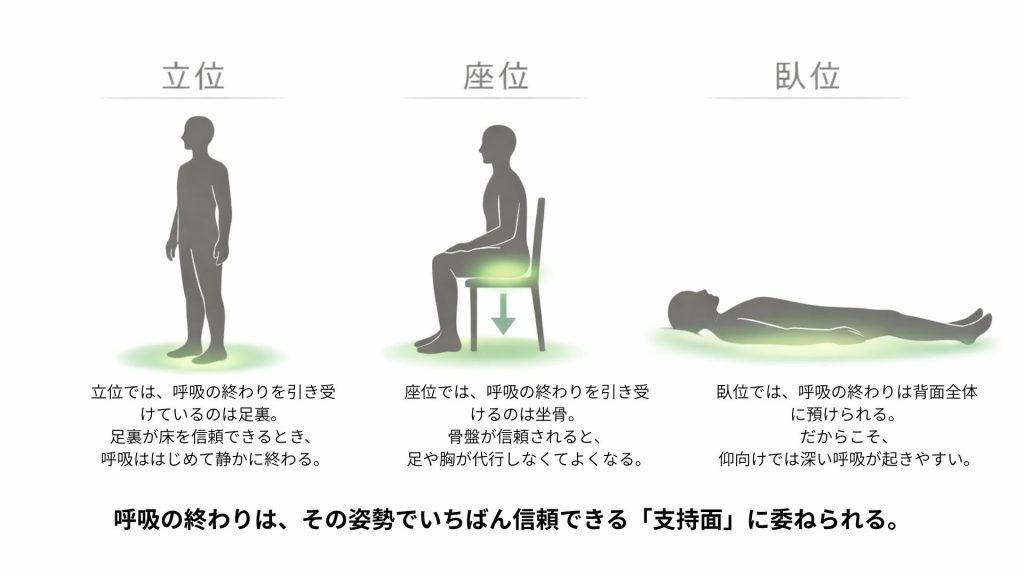 立位・座位・臥位の呼吸を終わらせる支持面の図解