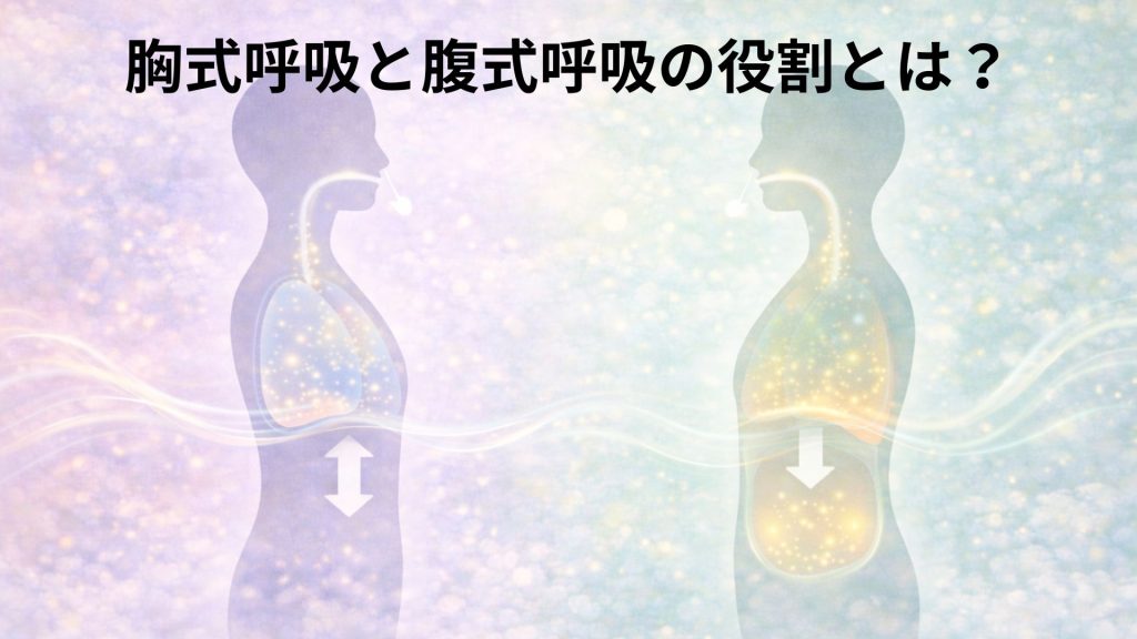 胸式呼吸と腹式呼吸のイメージ画像