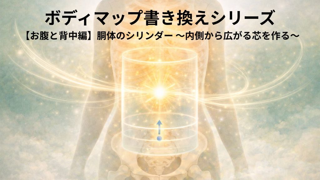 お腹と背中の胴体シリンダーのイメージ画像