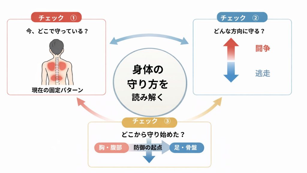 防御ルートを読み解く3つの視点(現在の身体の状態・神経の反応方向・守り始めた入口)が重なり合う関係を示した図