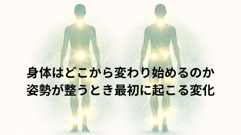 身体が変わり始めるスイッチになる抗重力筋の場所がわかる図