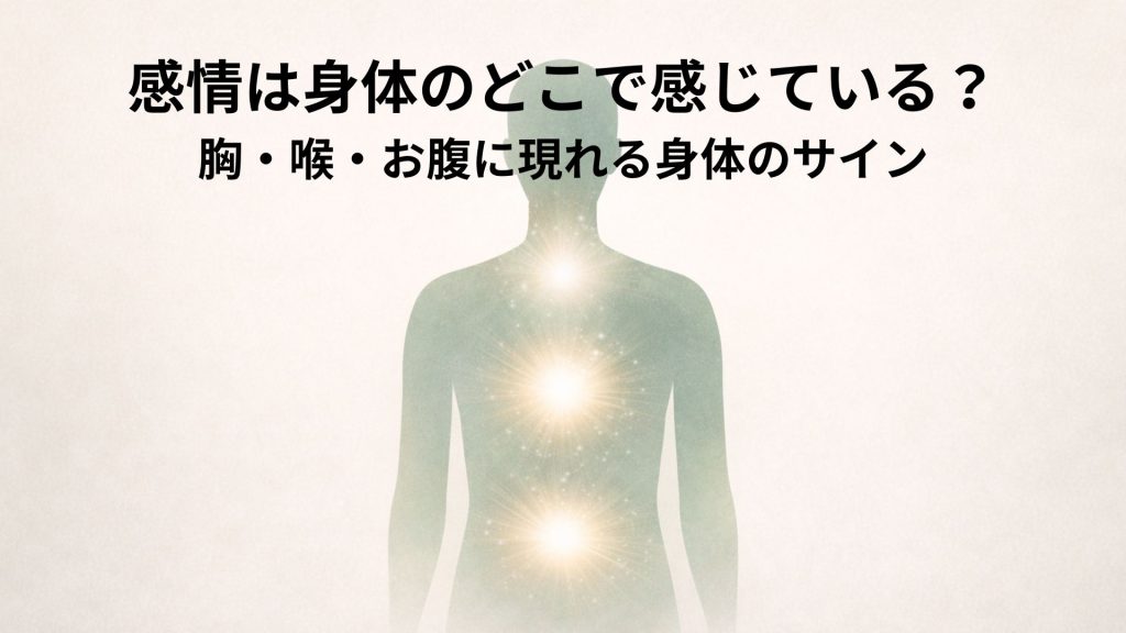 身体における感情のサインの場所を表す画像