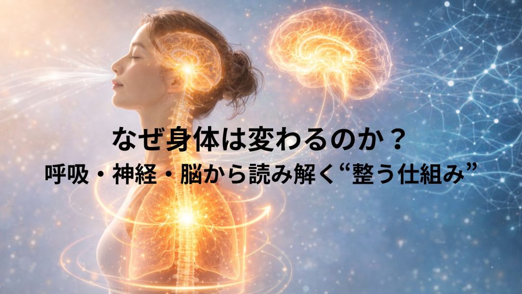 呼吸を通して脳と身体がつながる様子の画像