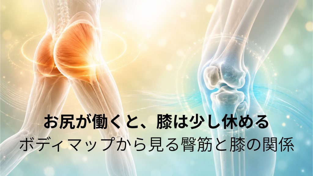 臀筋と膝のイメージ画像