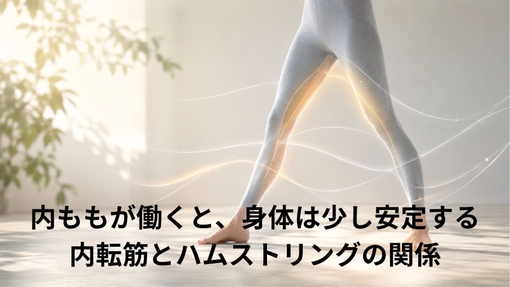 内転筋と脚の動きがわかる画像